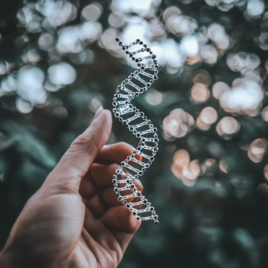 Epigenetics: How Lifestyle Choices Influence Gene Expression